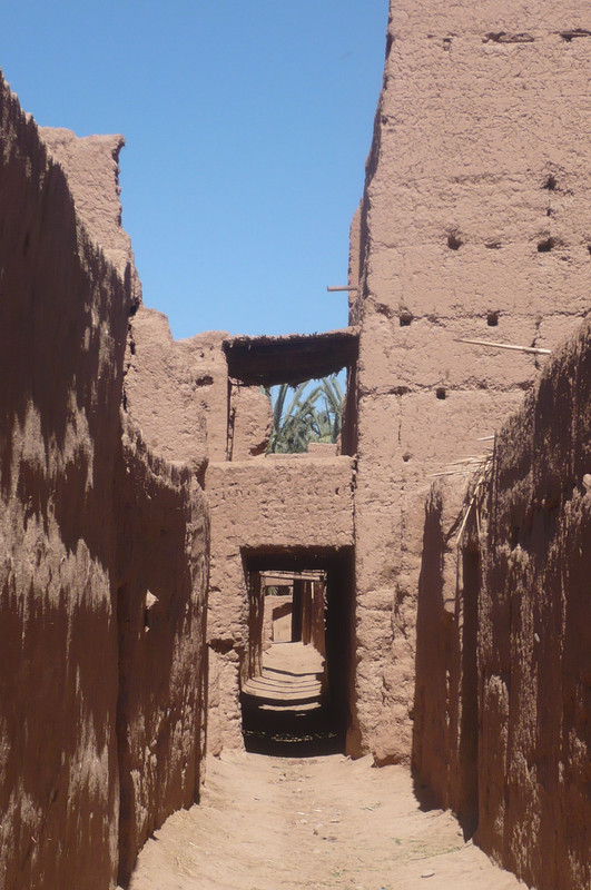 El palmeral de Ternata : Zagora y Tissergate - El Valle del Drâa, la gran arteria del sur de Marruecos (6)