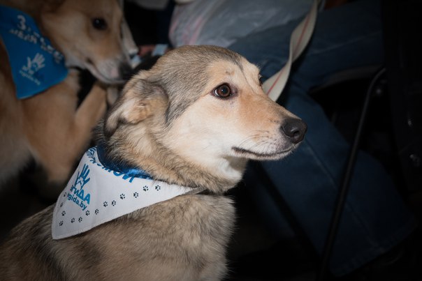 65987D4C-FC97-4AF3-BB1F-0BC9E92C7AAA