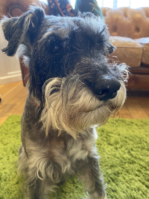 A3AFD7DE-BB4B-4652-9194-3B36E5B63DA8