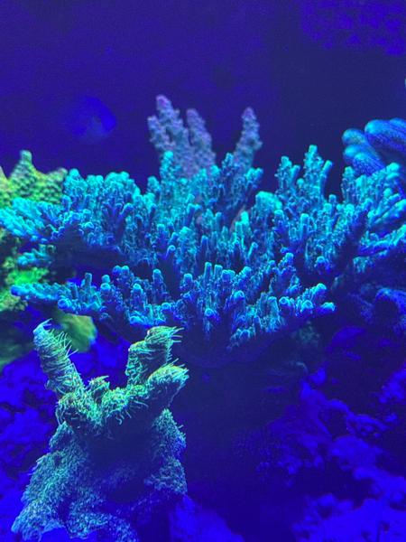 IMG 7059