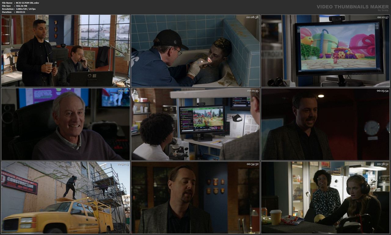 NCIS S17E09 IRL.mkv