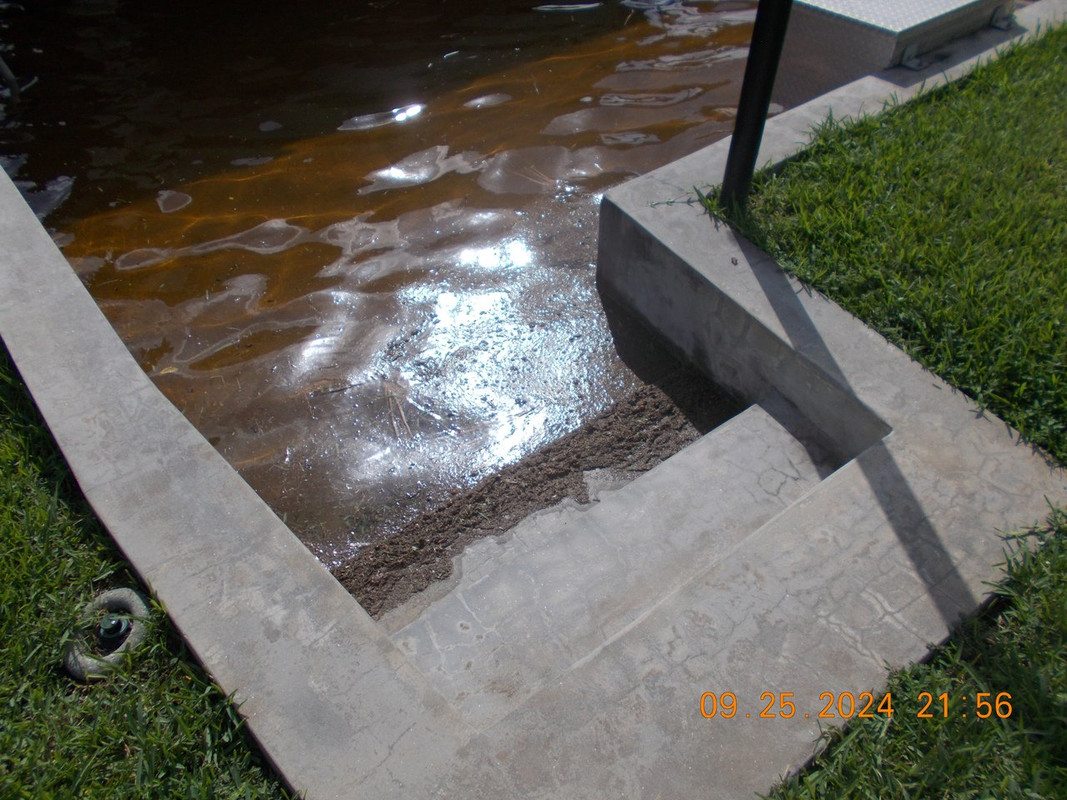 DSCN0984