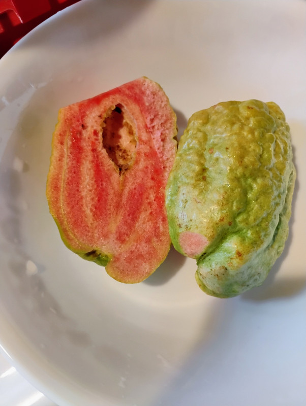 IMG 20251224 110734927 AE