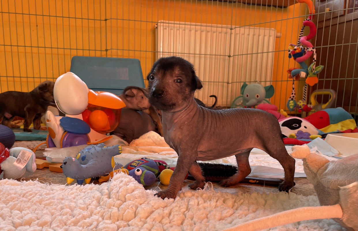 FA74BDAB-D79A-4A23-8722-A0CCDB7E4992_1_201_a