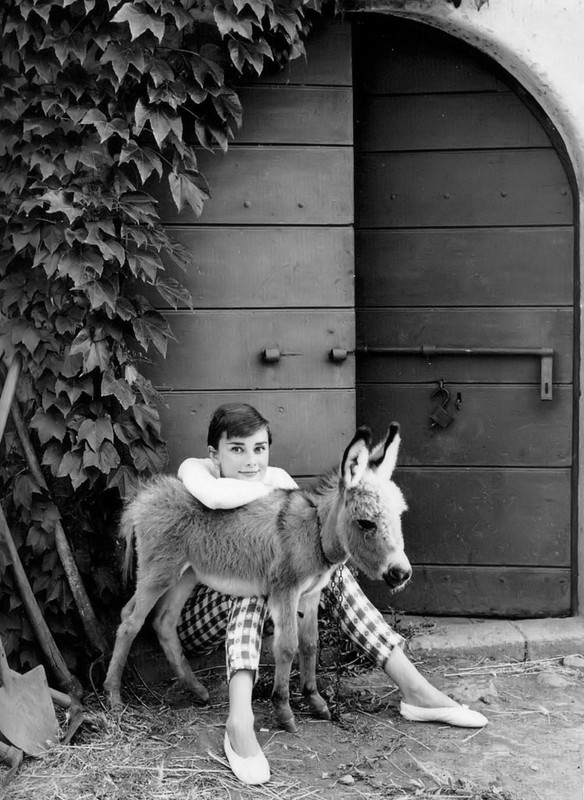 AudreyHepburn_ma25