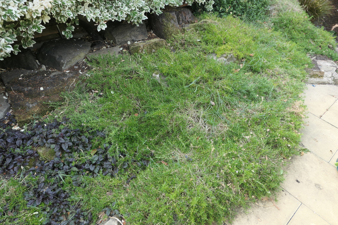 P1050039