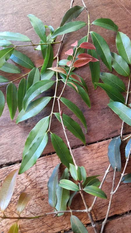 WhatsApp Image 2025-10-02 at 11.40.18 AM (1)