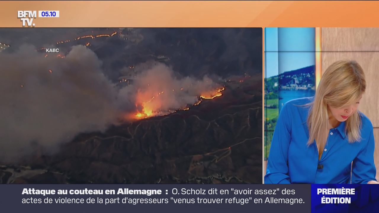 Première édition (BFMTV)_2025_01_23_03_25_37.ts_snapshot_00.45.47.757
