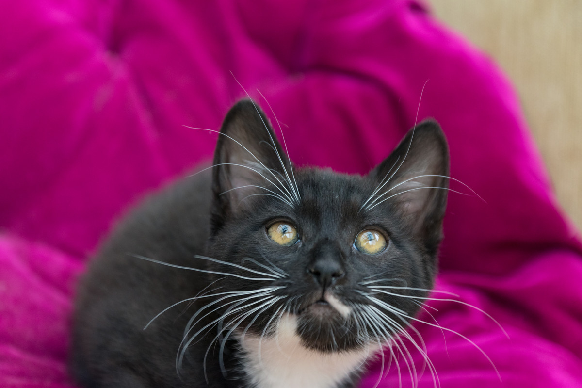 ?омка и Марго-25