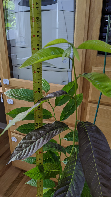 PXL_20230927_172015130.MP