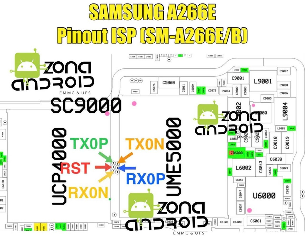 photo_2025-08-30_21-18-26