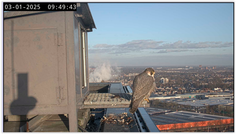 Screen Shot 01-03-25 at 09.50 AM 001