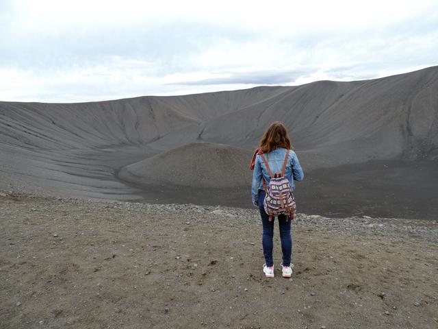 ISLANDIA en 11 DÍAS con 4x4 - Agosto 2016 - Blogs de Islandia - DÍA 7 (16/08/2016) –Lago Myvatn - Godafoss - Akureyri (6)