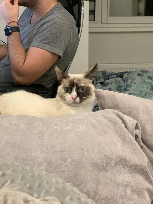 F888FA72-FAF3-4D5C-979F-8EB5949BC4C4