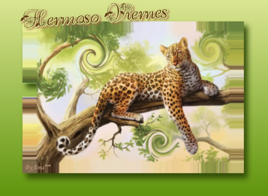 Leopardo Viernes