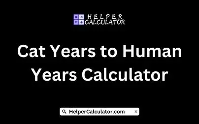 Cat Years to Human Years Calculator