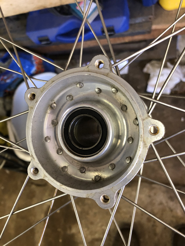 2A8B06D1-7575-4C16-8C33-7D712E9E43ED