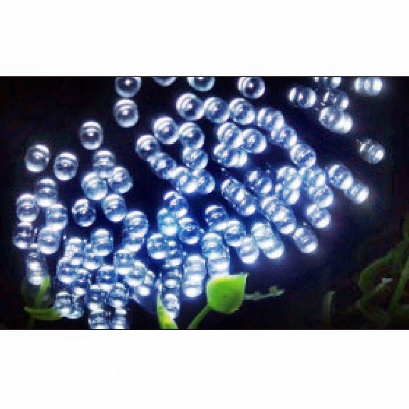 Solar String Light: 80027: 50 LEDS