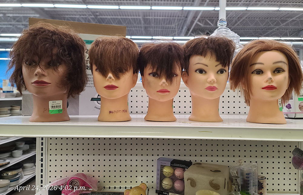 [Image: 20260424-160246.jpg]