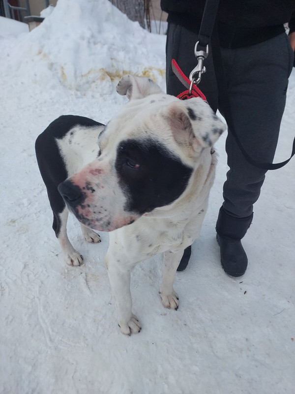 WhatsApp Image 2024-01-22 at 10.34.47 (2)