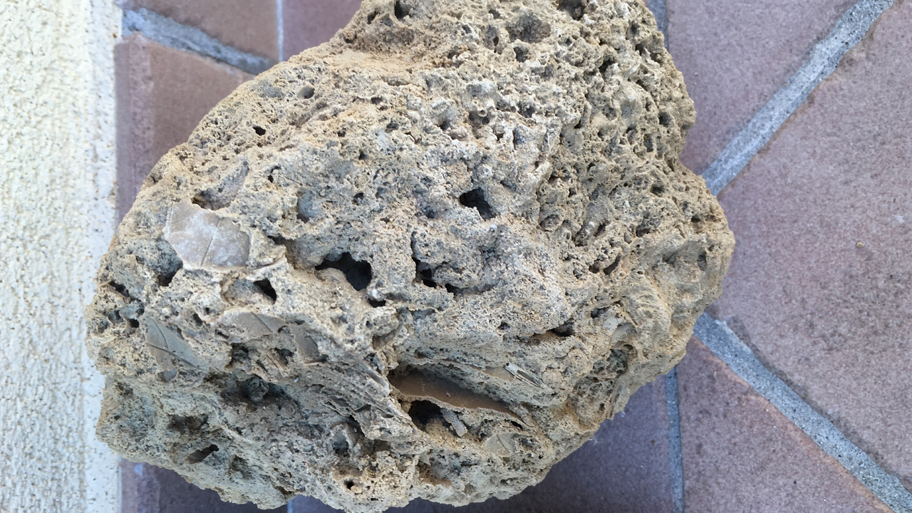 3713C03C-68CD-46D5-BFC3-9F4CDDECEE96