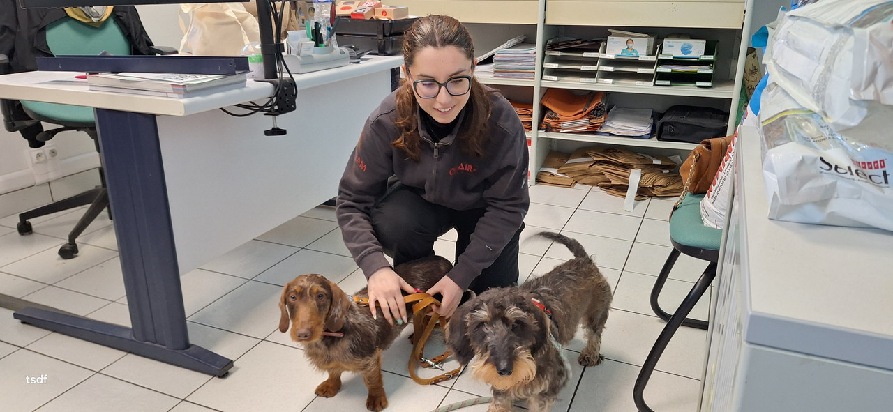 [Image: 20250317-155611.jpg]