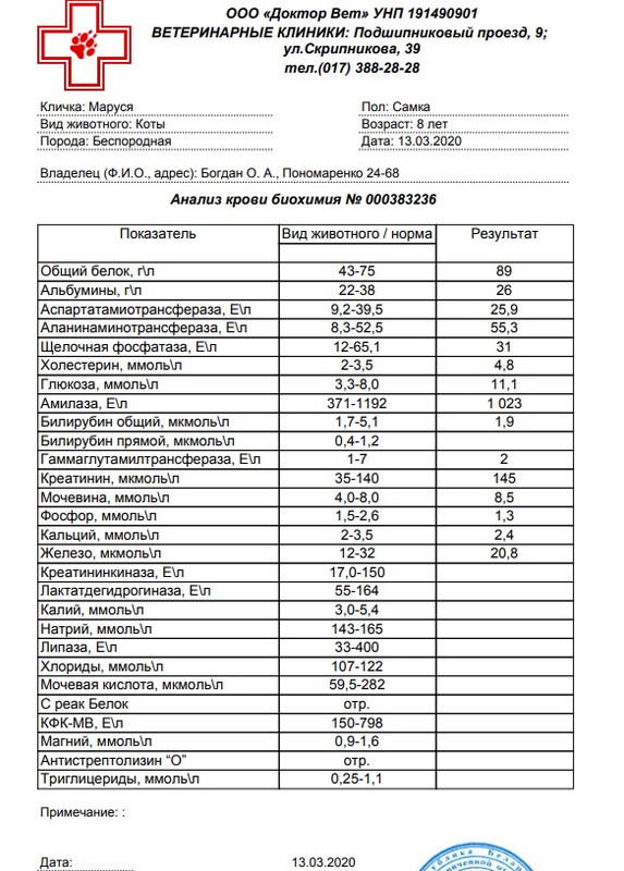 анализ маруси