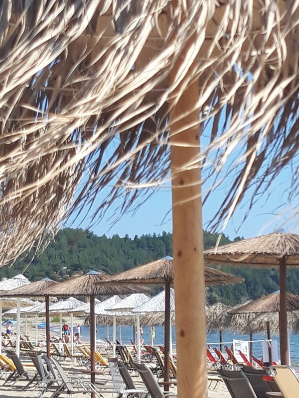 Slika