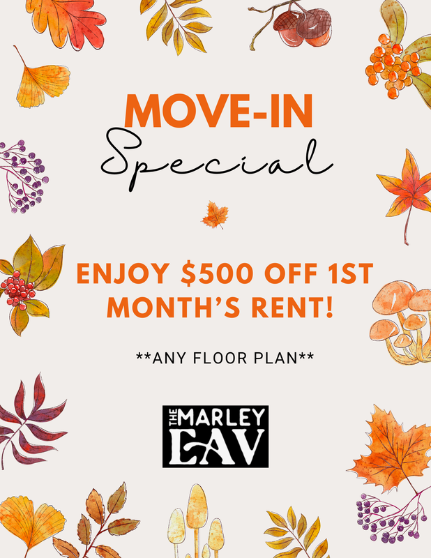 Colorful Watercolor Illustrative Fall Forest Leaves Autumn Market Flyer (17)