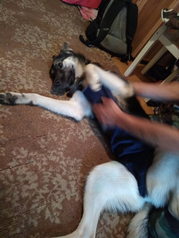 IMG-bb09f274dd4cdd94b676c844c02c4b14-V