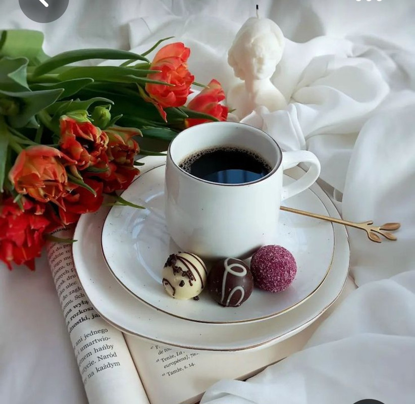 Screenshot_20230508_232204_Pinterest