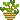 plant pix