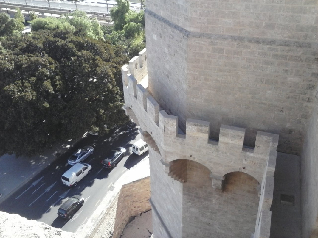 CAM00353