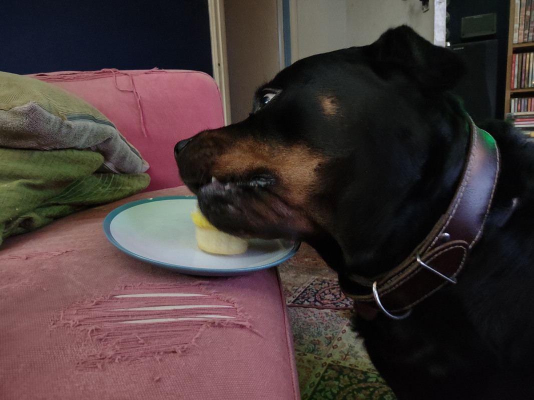 IMG_20201124_155338851_HDR