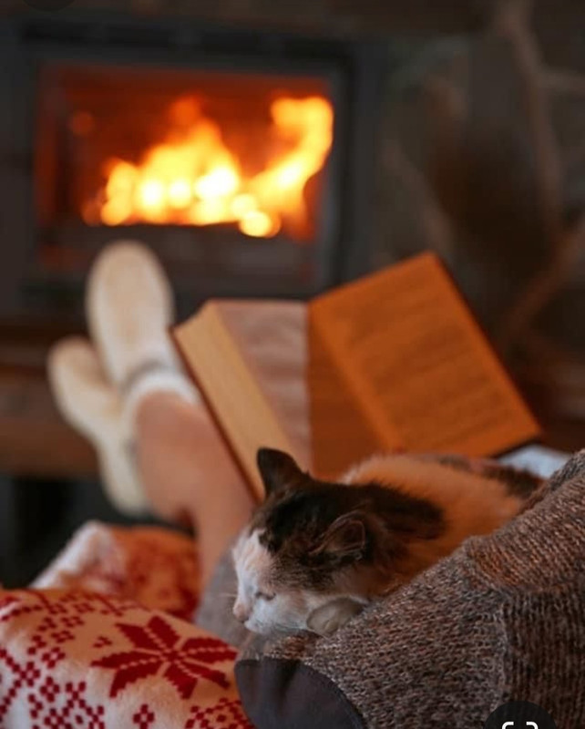 Screenshot_20231113_124022_Pinterest