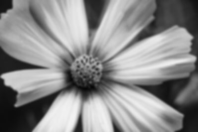 c6fa7e6a 546b 4882 bc34 00da88a5430b