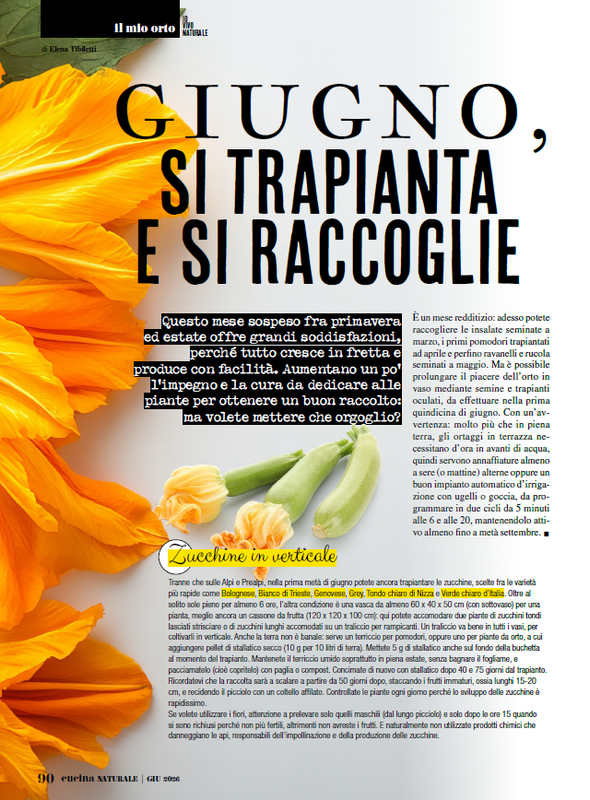 Cucina Nat Giu 2026 (9)