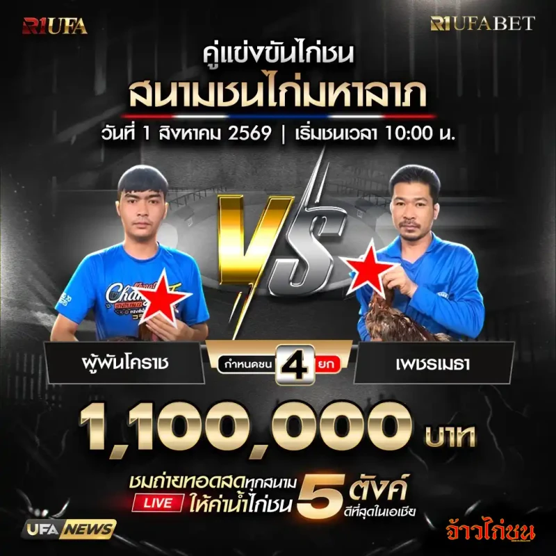 ผู้พันโคราช พบ เพชรเมธา สนามชนไก่มหาลาภ 1 สิงหาคม 2569