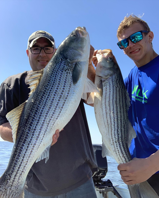 3E57F649-6365-4C32-AE28-5BDAB1501540