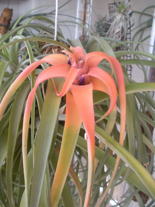 HbReISvtjWIshIh4H_TDRyyOqH4HwX1gZICkmOOUSIdqEY-QlT1cUMw1R4eSCM9YjwYhfV8pwZPiqYjPvKv3K80z