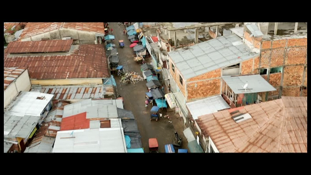 vlcsnap-2024-11-09-12h25m13s722