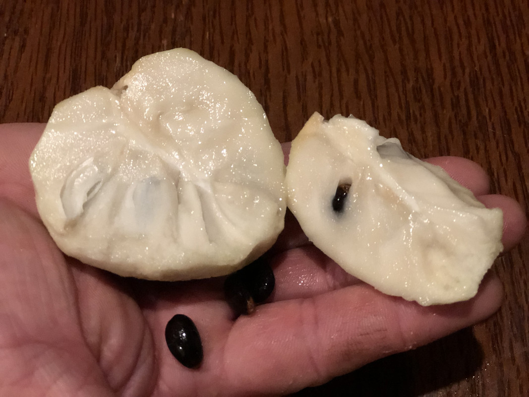 F92CBF94-5016-48D7-93FF-2E16A902E3A5