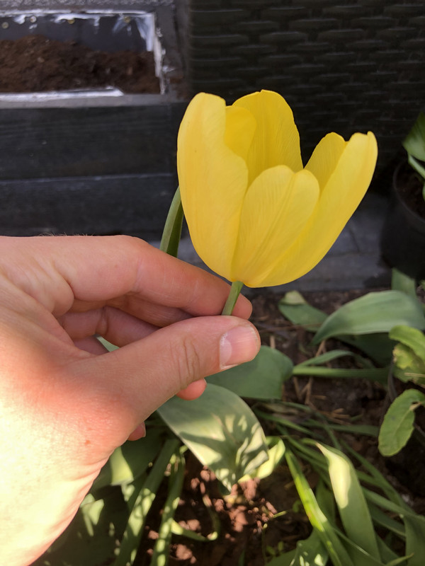 811D7CDF-B742-47A1-B9B4-EBA14C965E0E