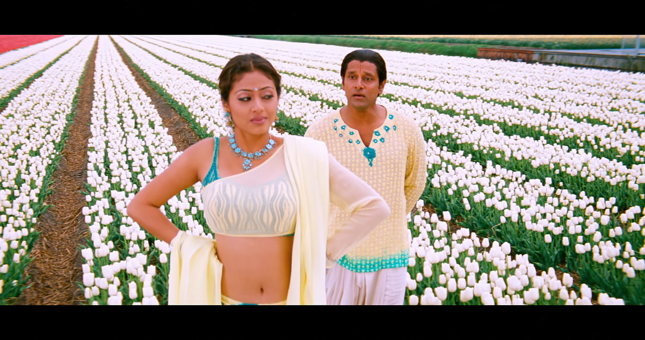 VideoCapture_20241122-195605