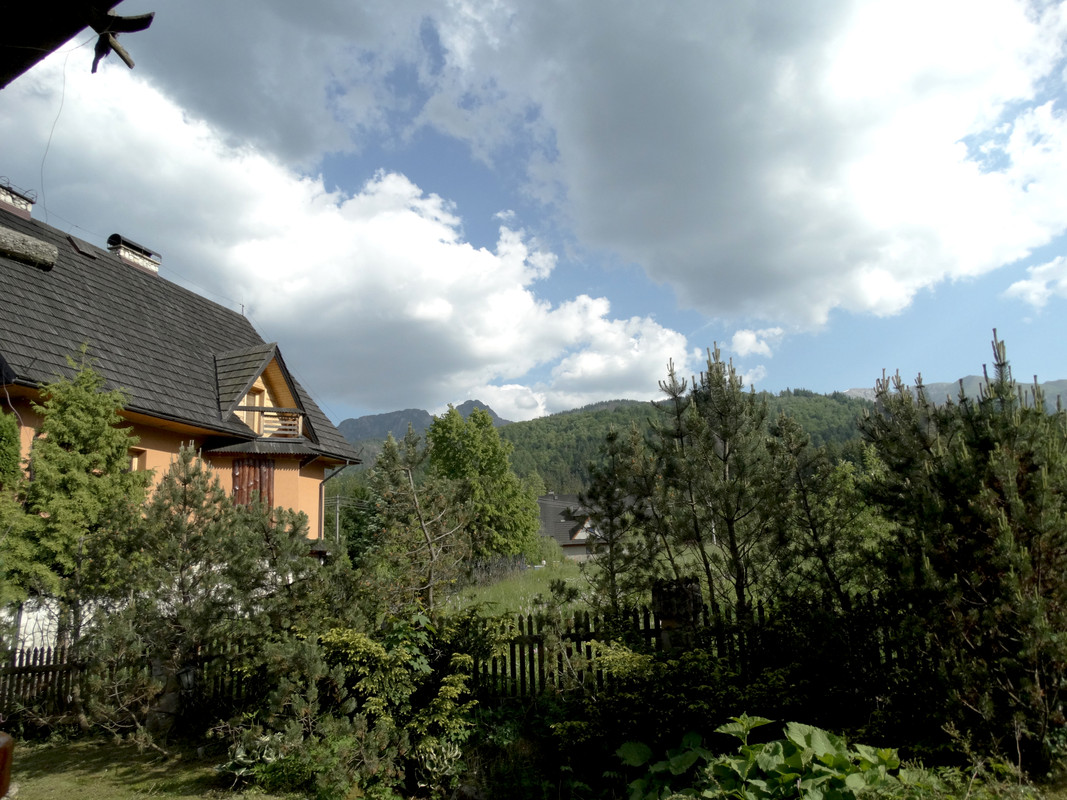 01.01 - DSC07981 ( Czesio1)