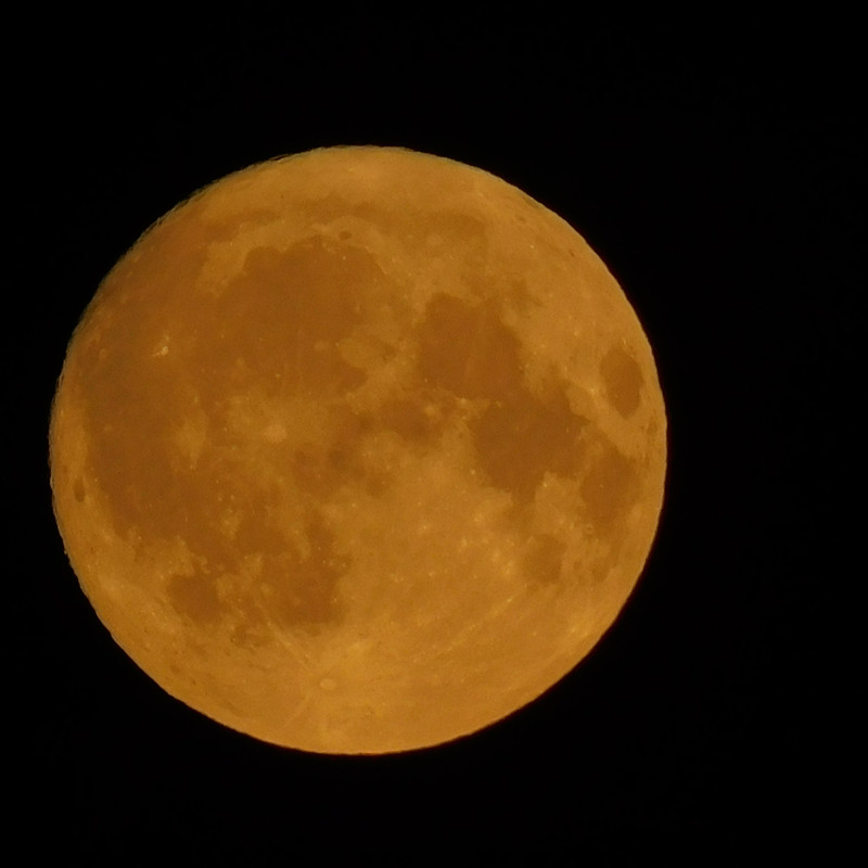 Дачно-Харлинский июнь-июль 2024 329