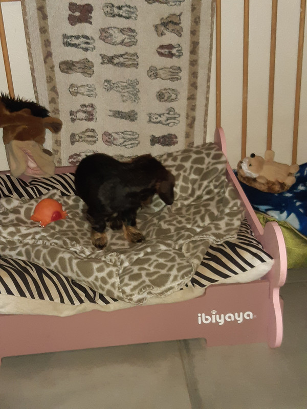 [Image: 20221205-062336.jpg]