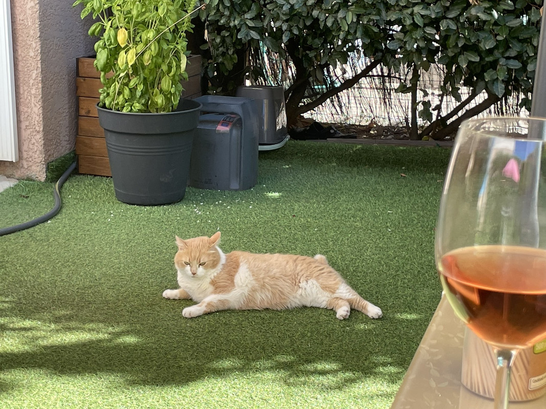 изображение_viber_2024-07-07_18-45-32-800