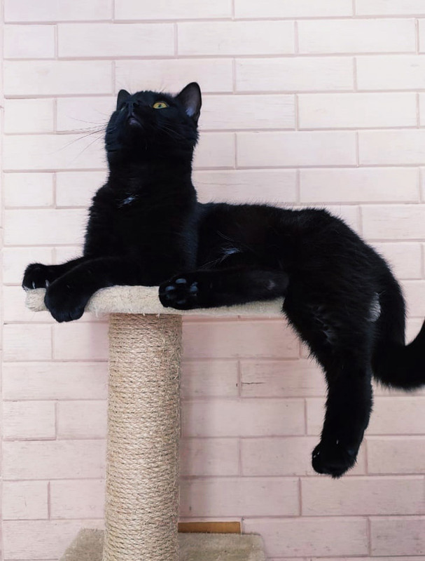 R_fRgWM1TFhU7-D6-i5mDHEFyIhwfiaIWaETeAOK_lcclQk6BW4NvXWwpqlvWNdtk8tFqSwh78dthP1Xg7p23HAk