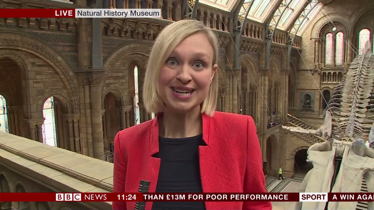 BBC Newsroom Live_20170713_11001130.ts_snapshot_